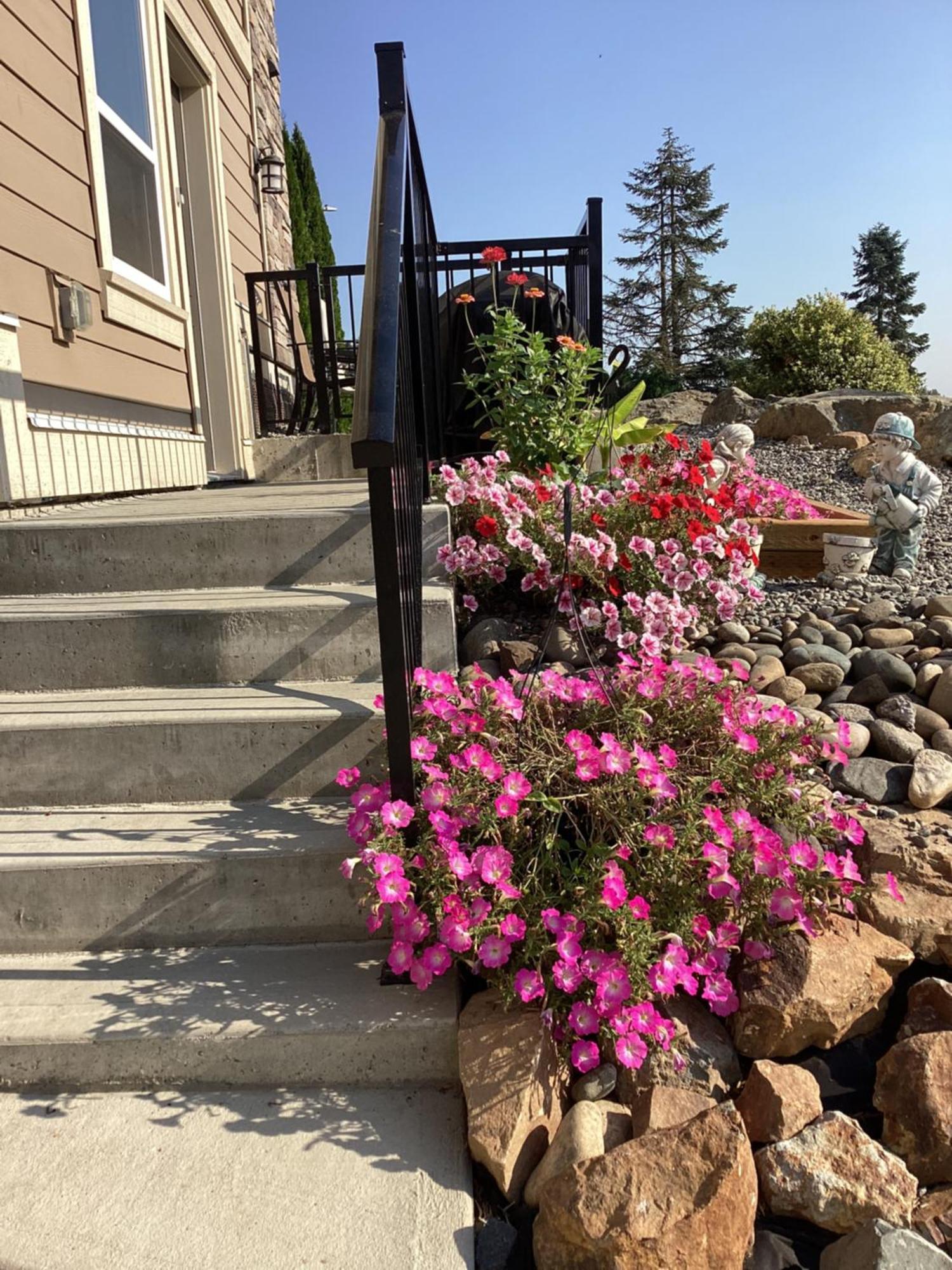 Mountain Retreat 3 Bedroom Garden House Near Heritage Park, Coliseum , Hwy 1, Fishing, Cultus Lake チリワック エクステリア 写真